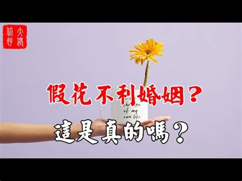 家放假花|2024年假花擺放指南